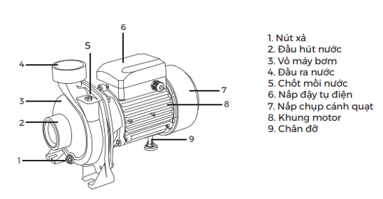 cau-tao-nhf1100