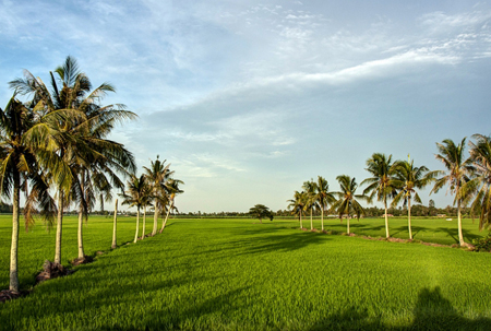 thiet-bi-dien-nuoc-long-an